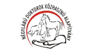 Kézenfogva Alapítvány